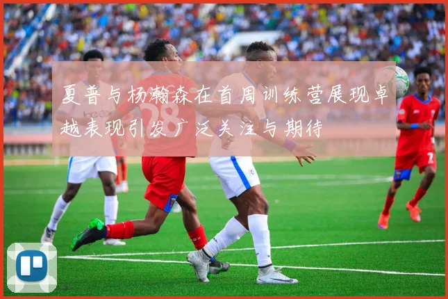 夏普与杨瀚森在首周训练营展现卓越表现引发广泛关注与期待