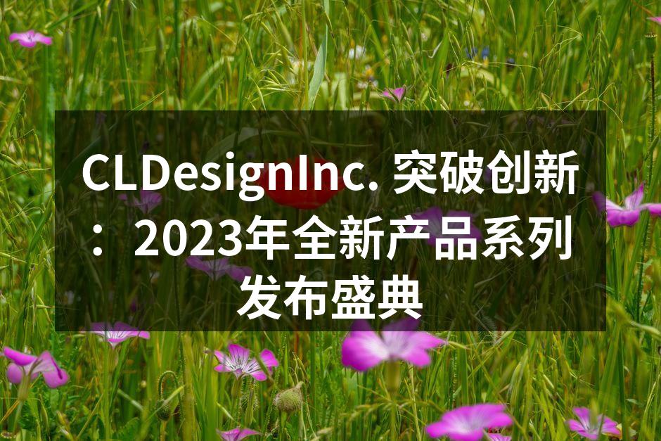 CLDesignInc. 突破创新：20